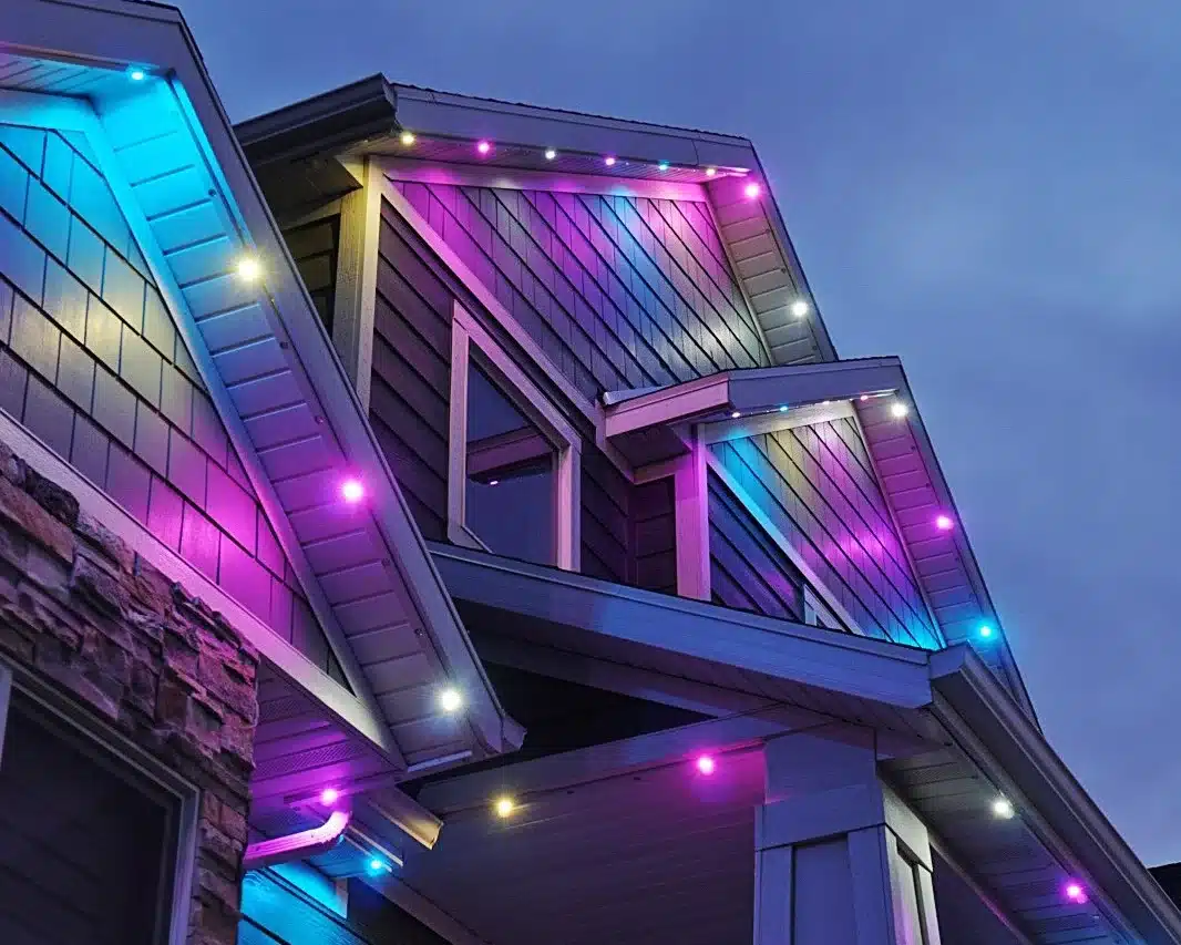 Pink, purple, and blue jellyfish lighting in Westminister, CO.